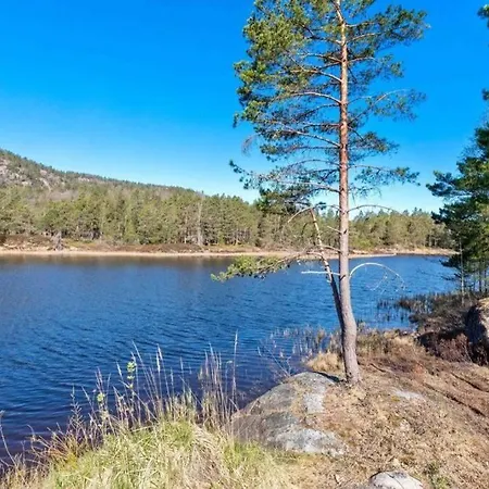 Tradisjonell Hytte Midt I Skogen Rett Ved Vann