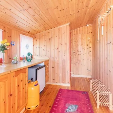 Tradisjonell Hytte Midt I Skogen Rett Ved Vann Сasa de vacaciones