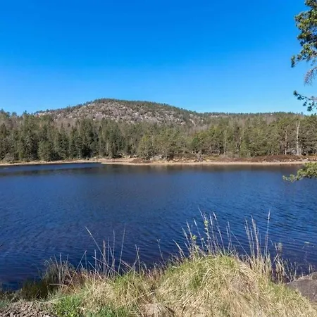 Tradisjonell Hytte Midt I Skogen Rett Ved Vann